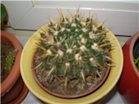 8d82b0d1-Picture 1096.jpg